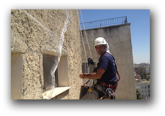 הרחקת יונים במרכז, הרחקת יונים בראשון לציון , הרחקת יונים באשדוד, הרחקת יונים ברחובות, הרחקת יונים ביבנה הרחקת יונים במרכז, הרחקת יונים בראשון לציון , הרחקת יונים באשדוד, הרחקת יונים ברחובות, הרחקת יונים ביבנה