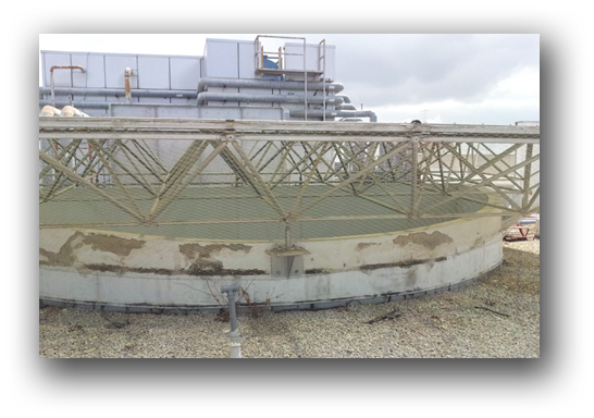 הרחקת יונים במרכז, הרחקת יונים בראשון לציון , הרחקת יונים באשדוד, הרחקת יונים ברחובות, הרחקת יונים ביבנה הרחקת יונים במרכז, הרחקת יונים בראשון לציון , הרחקת יונים באשדוד, הרחקת יונים ברחובות, הרחקת יונים ביבנה